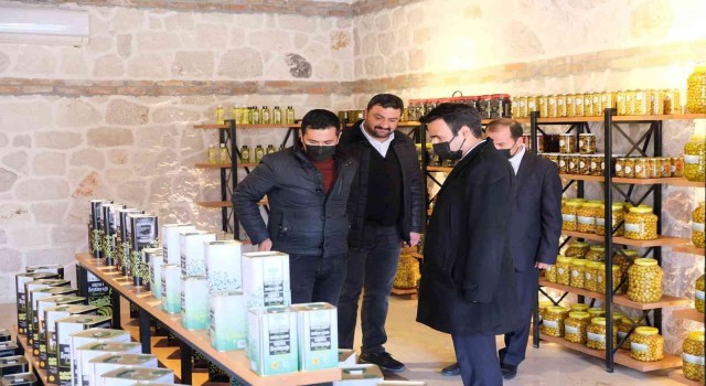 Muttan Hollandaya zeytin ve yöresel ürün ihracatı