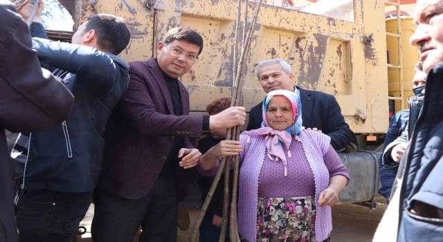 Nazilli Belediyesinden üreticilere 10 bin kestane fidanı