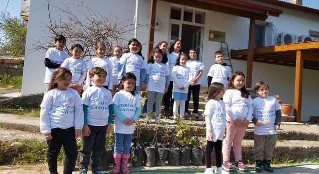 Öğrenciler Datçada 25 adet harnup fidanı dikti