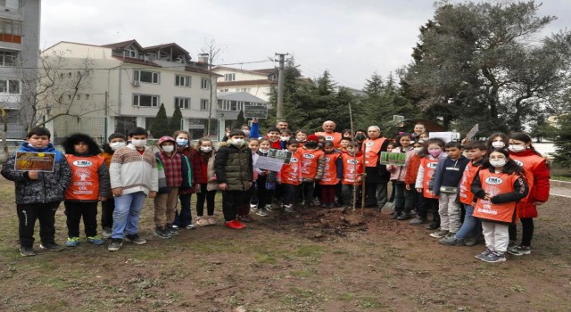 Öğrenciler, kiraz fidanı dikti
