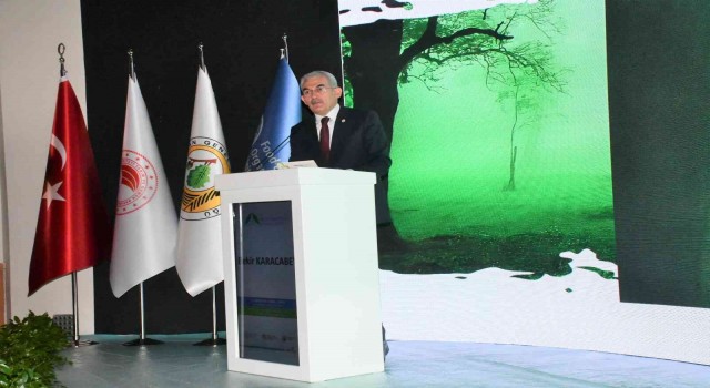 Orman Genel Müdürü Bekir Karacabey: Türkiye dünyada en fazla ağaçlandırma yapan ülkelerden biri