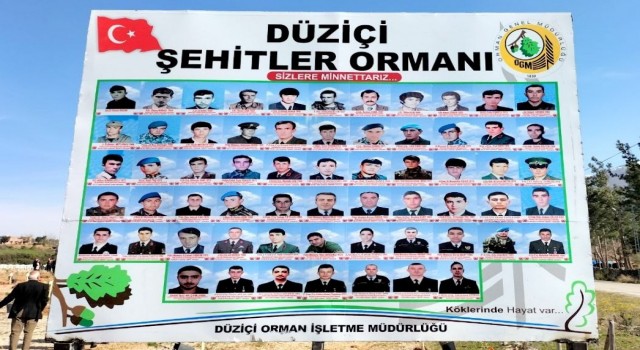 Osmaniyede Şehitler Ormanı oluşturuldu
