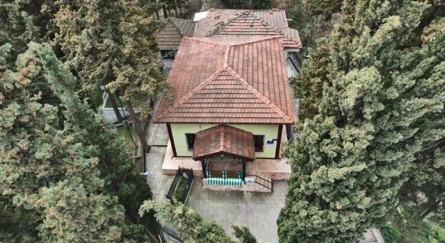 Padişahın kızı ellerinde şifa buldu, ismi Sultan Baba olarak kaldı