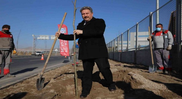 Palancıoğlu: “İklime uygun ağaçlandırma yapılarak, ilçenin ağaç haritası çıkarılacak”