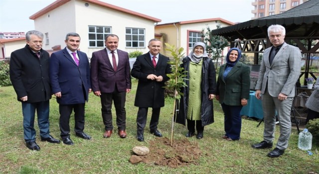 Rizede okul bahçelerine meyve fidanları dikildi