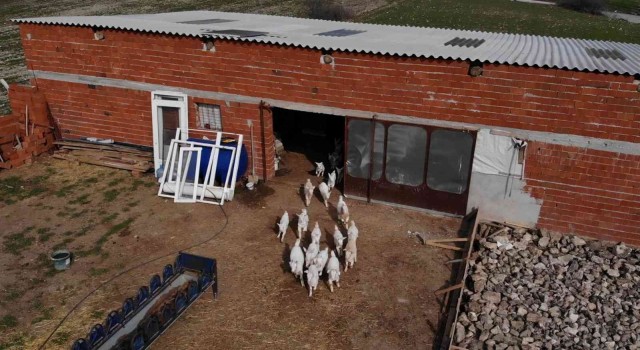 Rota değiştiren lezzet mevsimi başladı