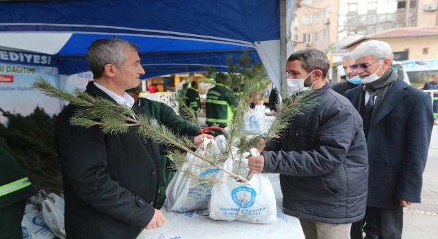 Şahinbeyde 150 bin çam fidanı dağıtıldı