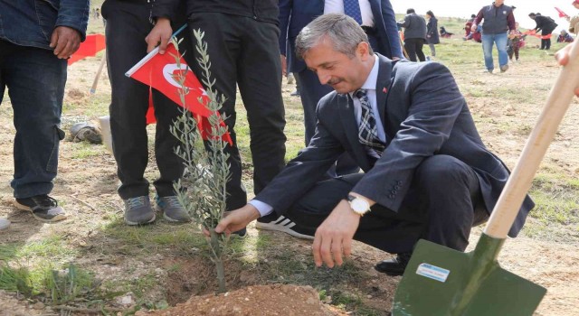 Şahinbeyde 3 milyon 968 bin fidan toprakla buluşturuldu