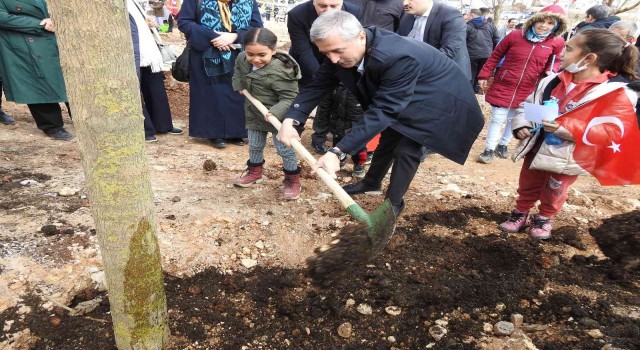Şahinbeyde ağaç dikim töreni yapıldı