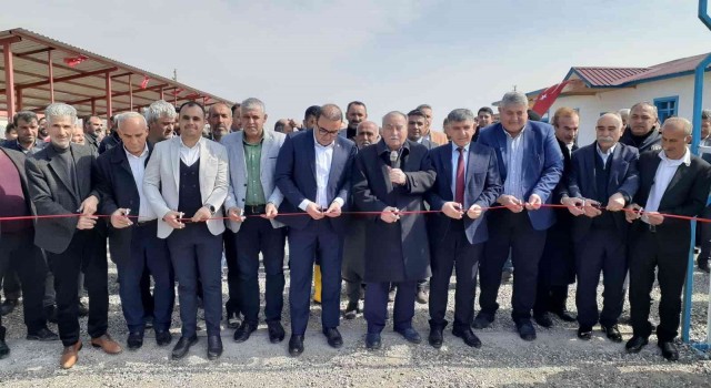 Samsatta canlı hayvan borsası açıldı