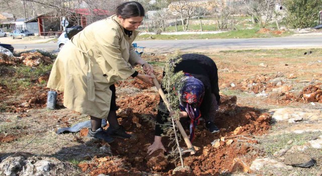 Şehitler adına iki orman kuruldu, ilk fidanları aileleri dikti