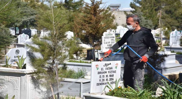 Siirtte mezarlıklarda ilaçlama çalışması