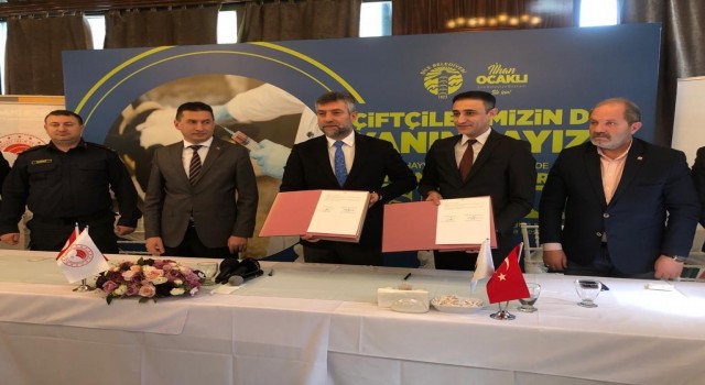 Şilede 25 bin hayvanın aşılaması ücretsiz gerçekleştiriliyor