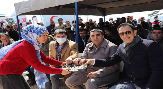Silifkede çağla festivali düzenlendi