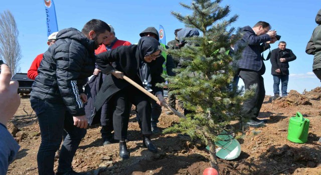 Sındırgıda yaklaşık 10 bin fidan toprakla buluştu