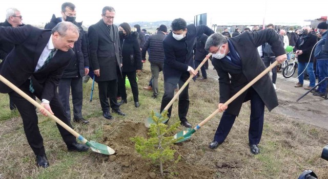 Sinopta 400 fidan toprakla buluştu