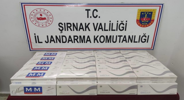 Şırnakta uyuşturucu ve kaçakçılık operasyonu: 4 kişi tutuklandı