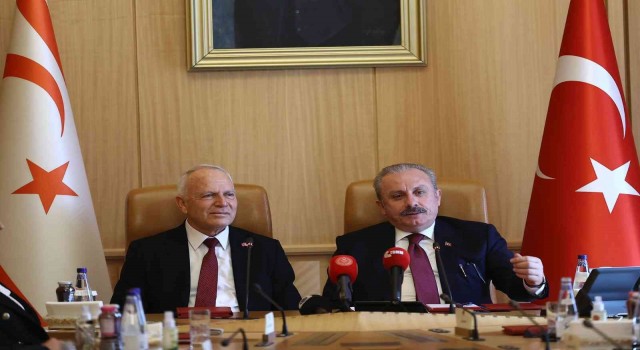 TBMM Başkanı Şentop, KKTC Meclis Başkanı Töre ile bir araya geldi