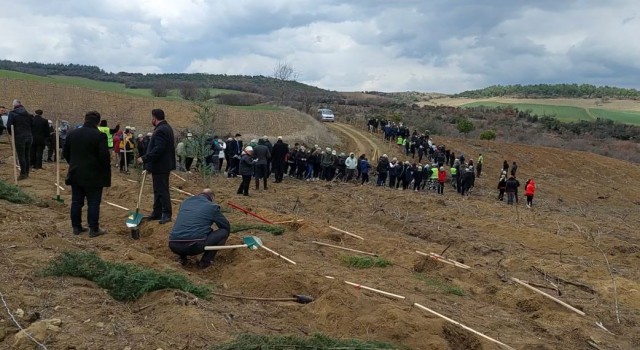 Tekirdağda 300 bin fidan toprakla buluşturuldu