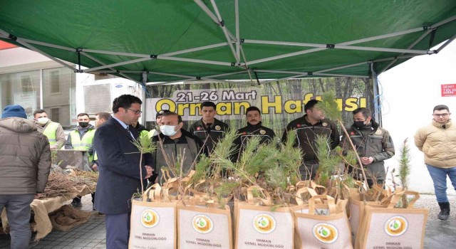 Türkelide vatandaşlara bin fidan dağıtıldı