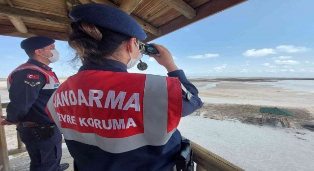 Tuz Gölünde Flamingo ölümlerine jandarma önlemi