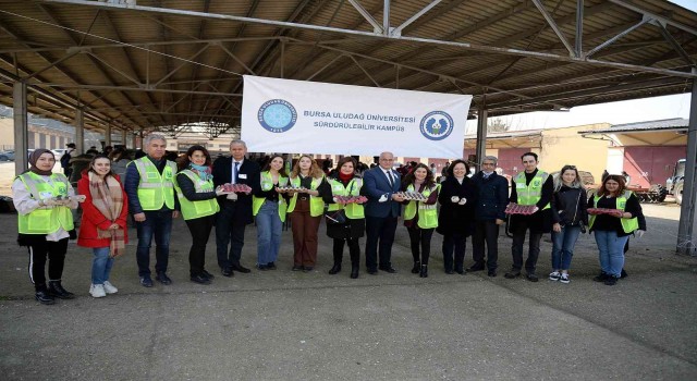 Uludağ Üniversitesi kampüsü tohum toplarıyla yeşermeye devam edecek