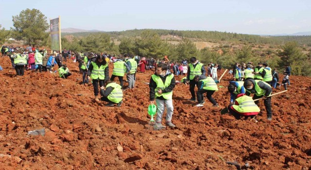 Uşakta yüzlerce öğrenci 3 bin 250 sedir fidanını toprakla buluştu