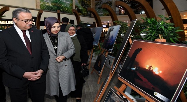 Vali Su, Dünya Ormancılık Günü Fotoğraf Sergisini açtı