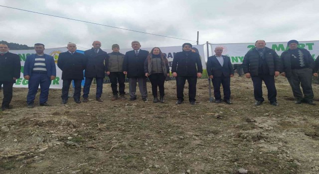 Vezirköprüde 36 bin 950 fidan toprak ile buluşacak