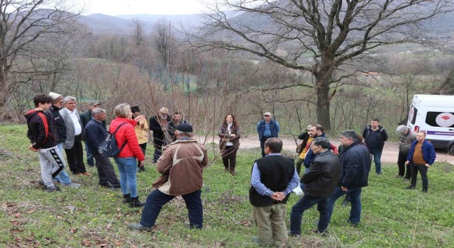 Yalovada çiftçilere Trabzon hurması budama eğitimi