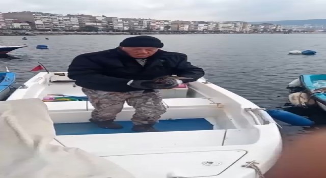 Yaralı halde bulundu...Denize döneceği günü bekliyor