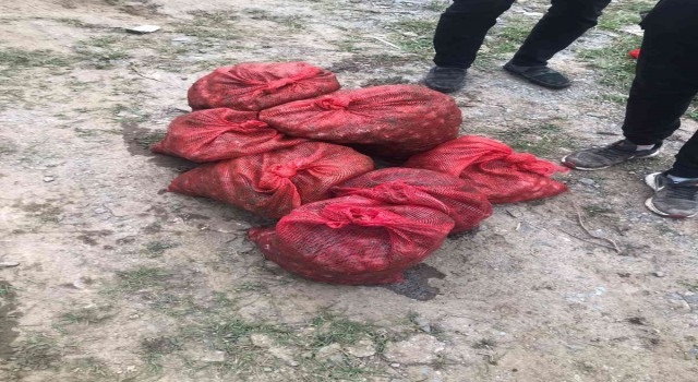 Yasak midye avcılarına ‘Kurbağa Adam şoku