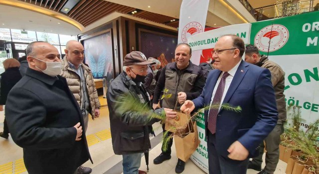 Zonguldakta vatandaşlara bin adet fidan dağıtıldı