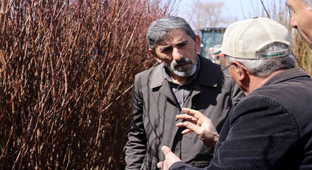 10 bin meyve fidan toprakla buluşacak