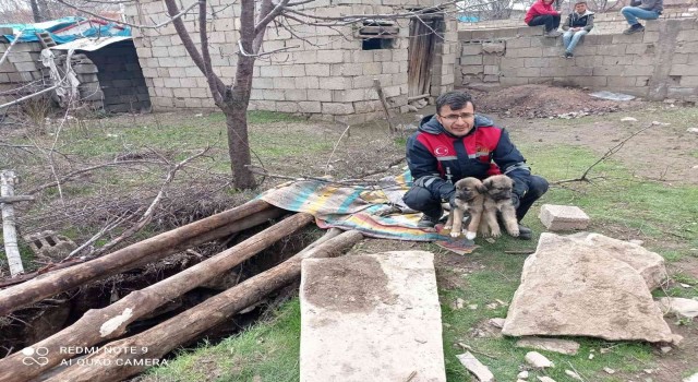 13 metre derinlikteki çukura düşen yavru köpekler itfaiye tarafından kurtarıldı