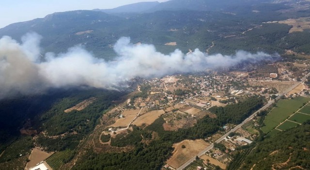 430 hektarlık orman yangını sanığına 5 yıl hapis