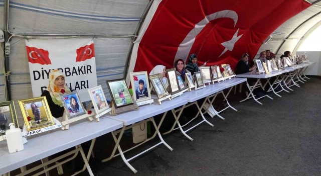 Acılı anneden dağdaki çocuklara ‘teslim ol çağrısı