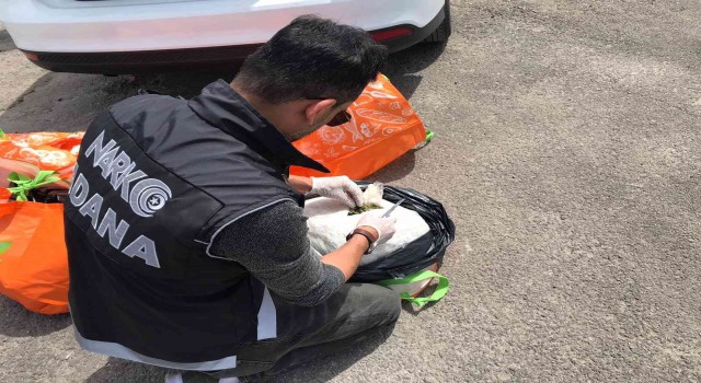 Adanada 24 kilo esrar ele geçirildi