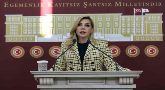 AK Parti Milletvekili Gökcandan 23 Nisan mesajı