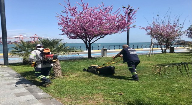 Akdenizde parklar bahara hazırlanıyor