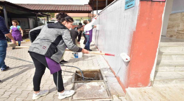 AKMEKle duvarlara kadın dokunuşu