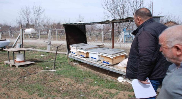 Akyurtta amatör arıcılara yüzde 100 destek