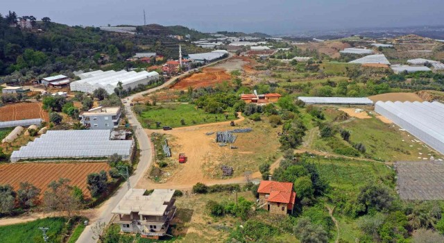 Alanyada Tropik Meyve Tanıtım Merkezi kuruluyor