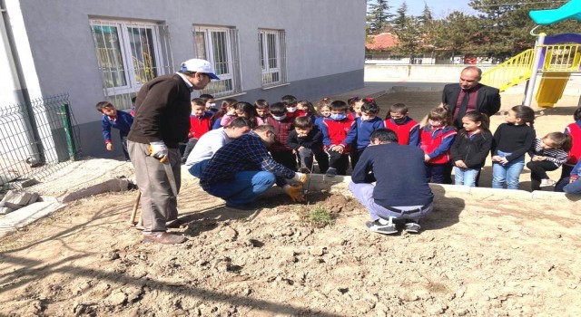 Altıntaşta öğrencilere ağaç budama eğitimi