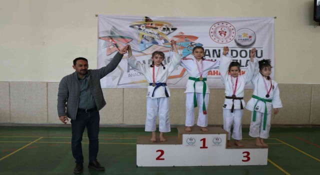 ANALİG Judo yarı final müsabakaları Erzincanda yapıldı