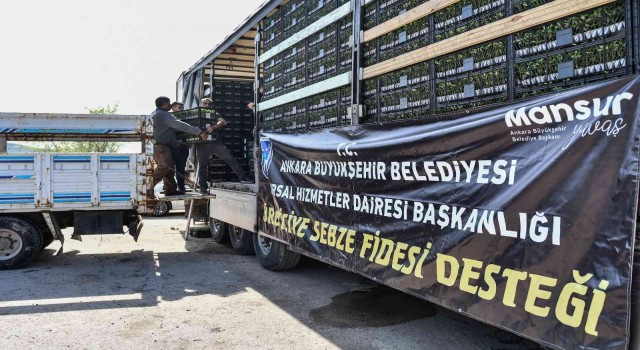 Ankara Büyükşehirden üreticilere sebze fidesi desteği