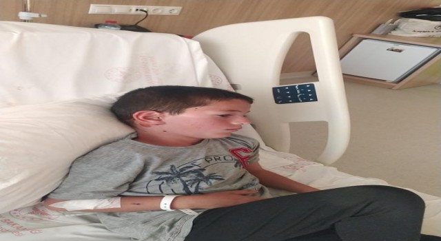 Ankarada 8 yaşındaki çocuğa köpek saldırdı