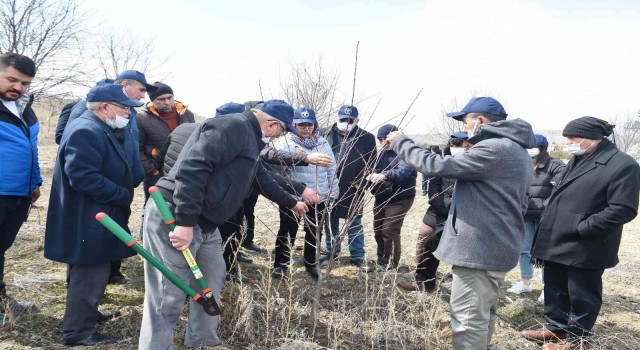 Ankarada üreticilere “Vişne Üretim Teknikleri Eğitimi”