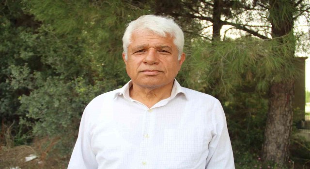 Antalyada yunus sürüsü tekneye eşlik etti