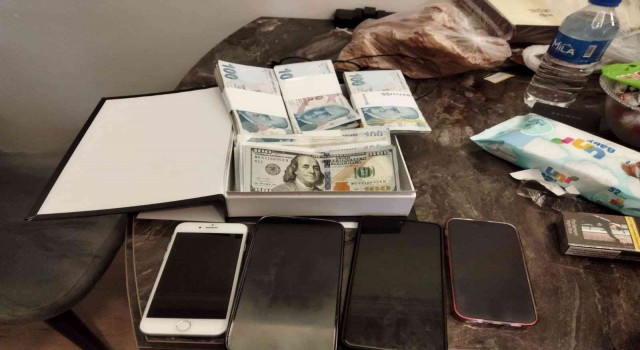 Araç kiralama operasyonu: 24 gözaltı